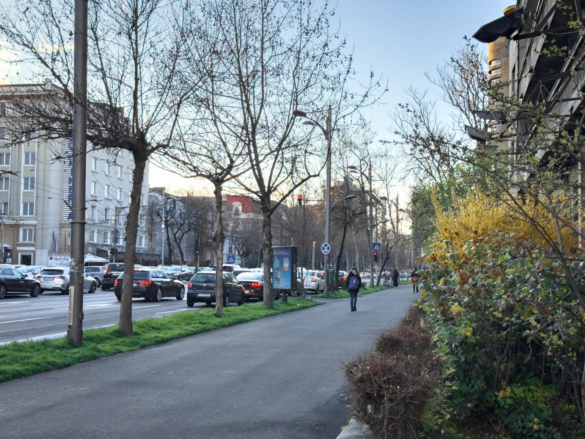 Central Retreat Apartments 부쿠레슈티 외부 사진